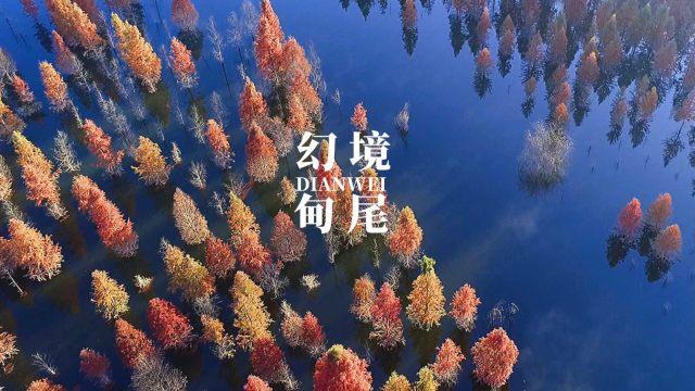 A/B实验在字节跳动推荐系统中的应用与实践