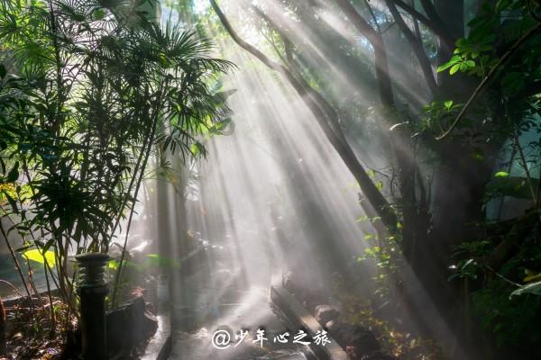 董宇辉访谈陈行甲,开场白及13点封神总结,分享给你