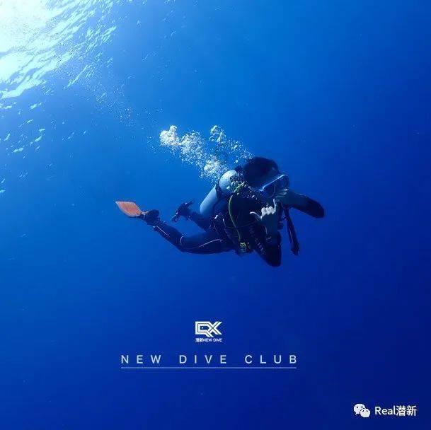 森林的奇迹